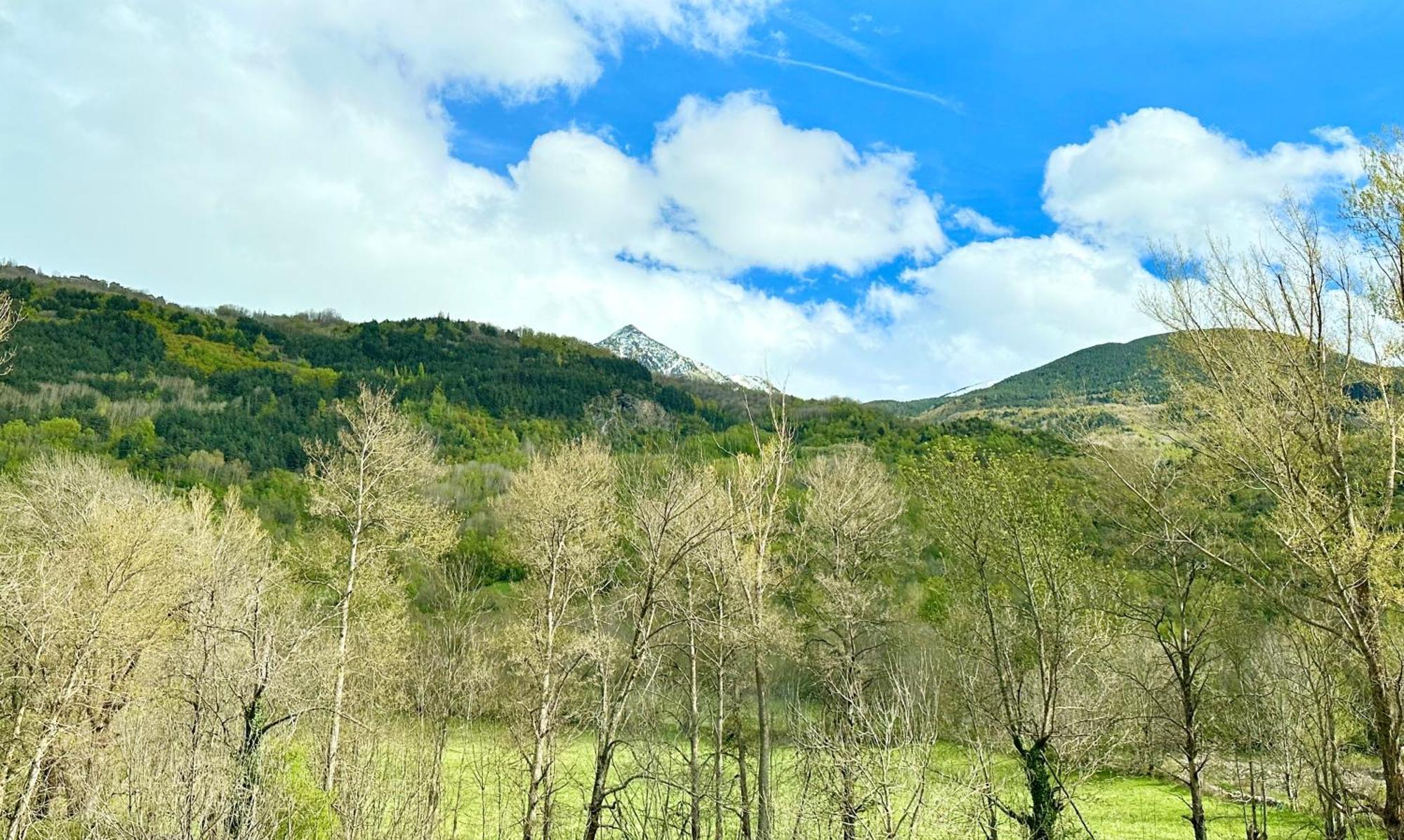 ベナスケBpirineos-Besurtaアパートメント エクステリア 写真